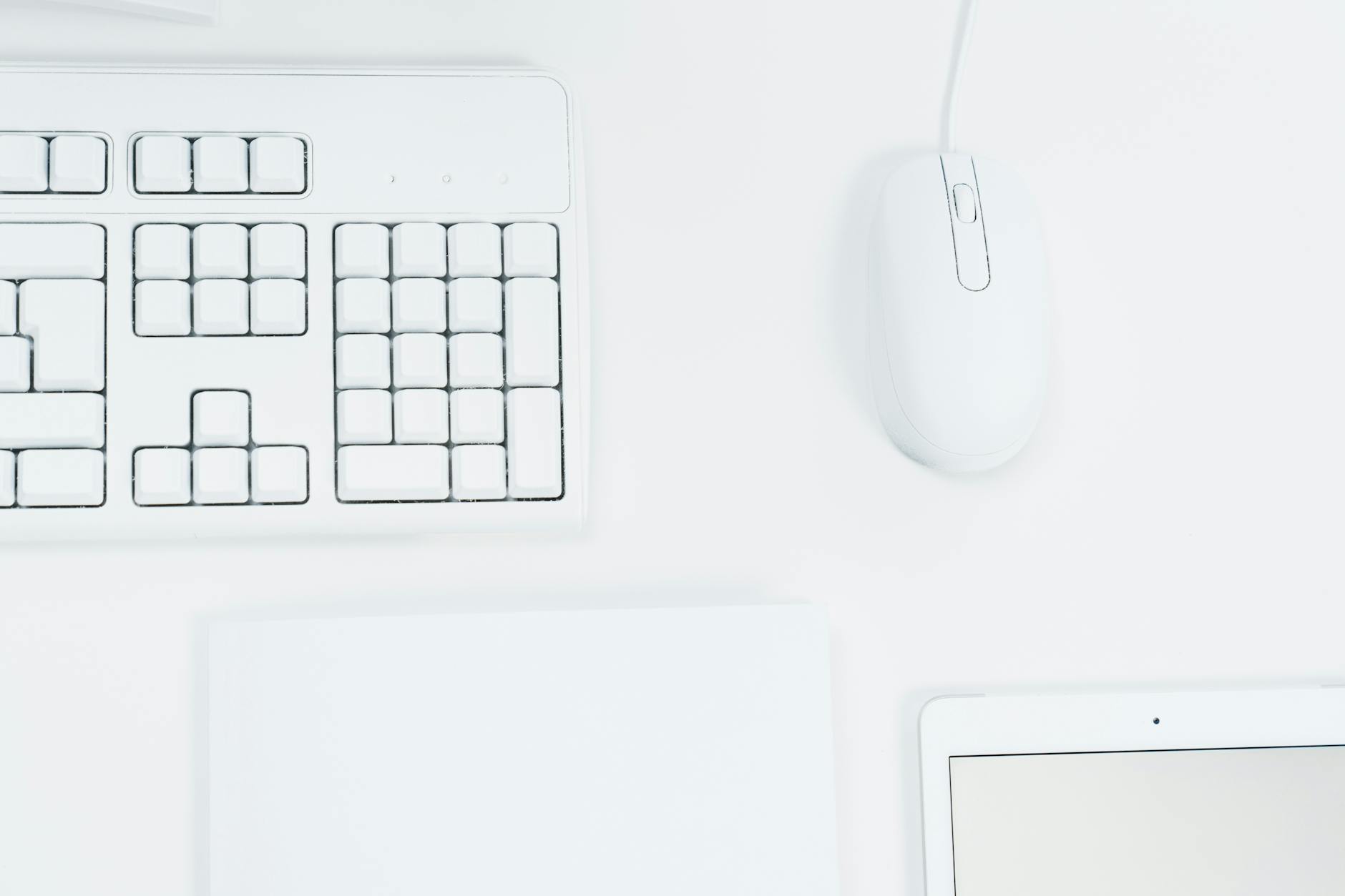 Cursor 무료 플랜 — 가볍게 시작하기 좋아요