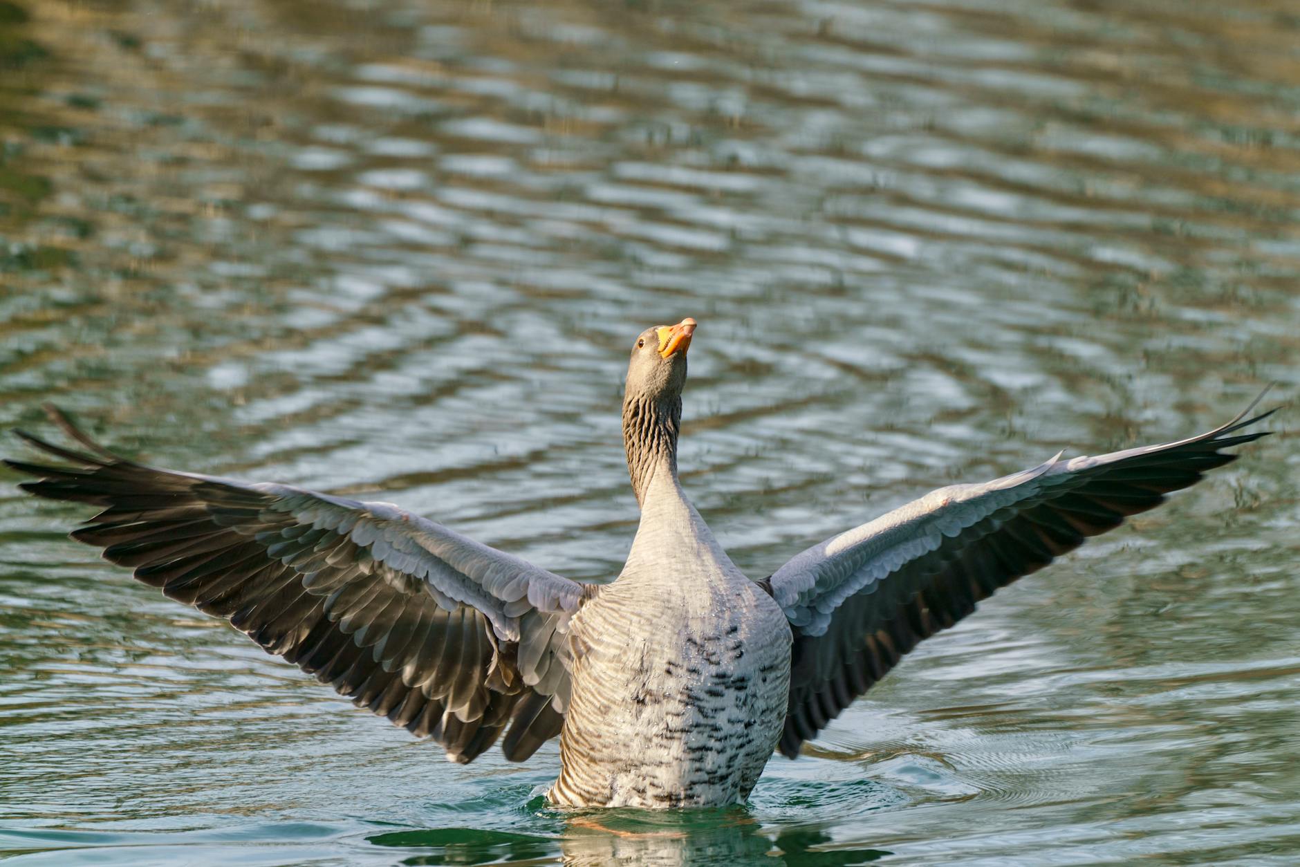 Goose AI가 뭔데요?